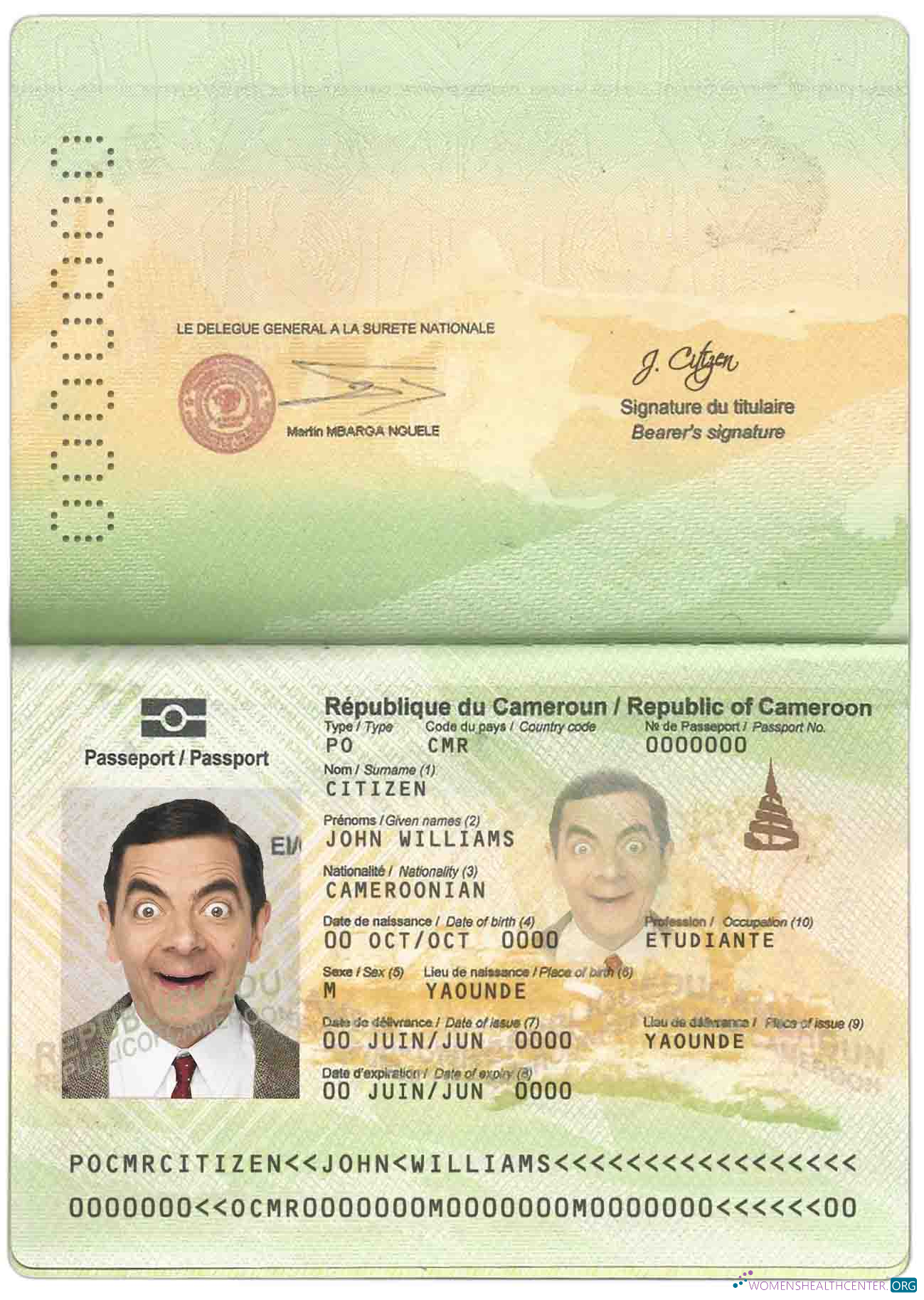 Angola LNG proof of address utility bill template in Word and PDF format